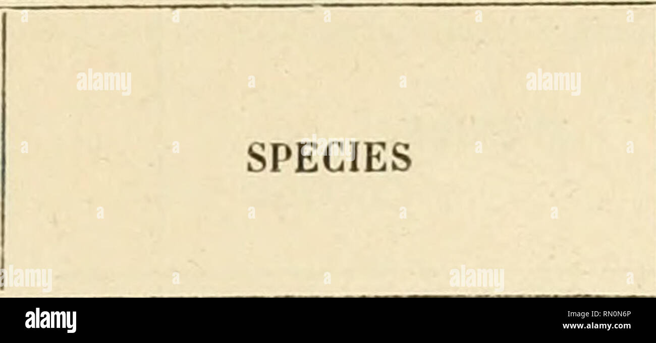 . Annales de la Société Entomologique de Belgique. Insetti; Entomologia. LISTE DES LEPIDOPTERES. Indice 285 de ^oisduval n. Genere. 1487 1813 1814 1509 1868 1555 1556 1549 1550 1619 1620 1625 1621 1772 1652 1631 1645 1644 aspilates. Cabera. id. FiDONIA. Âcidalia. Nysslv. id. BOARMIA. id. EUHOLIA. id. id. id. ClDAUIA. Anaitis. id. Larentl^. id. Geslicularia , H. . Groelsaria, Feislh, . , Inquinalaria, Rb. , Cf Osyraria, Rb. . Ç Ineonspicuaria, B. Xlfinaria, Bork. H. Bombycaria, B Selenaria, W. V. H. Dianaria, H Incursaria, H Polygrapharia, B. . Scabraria, Tr Alienaria, B Alpeslraria, H Soroi-aria, Foto Stock