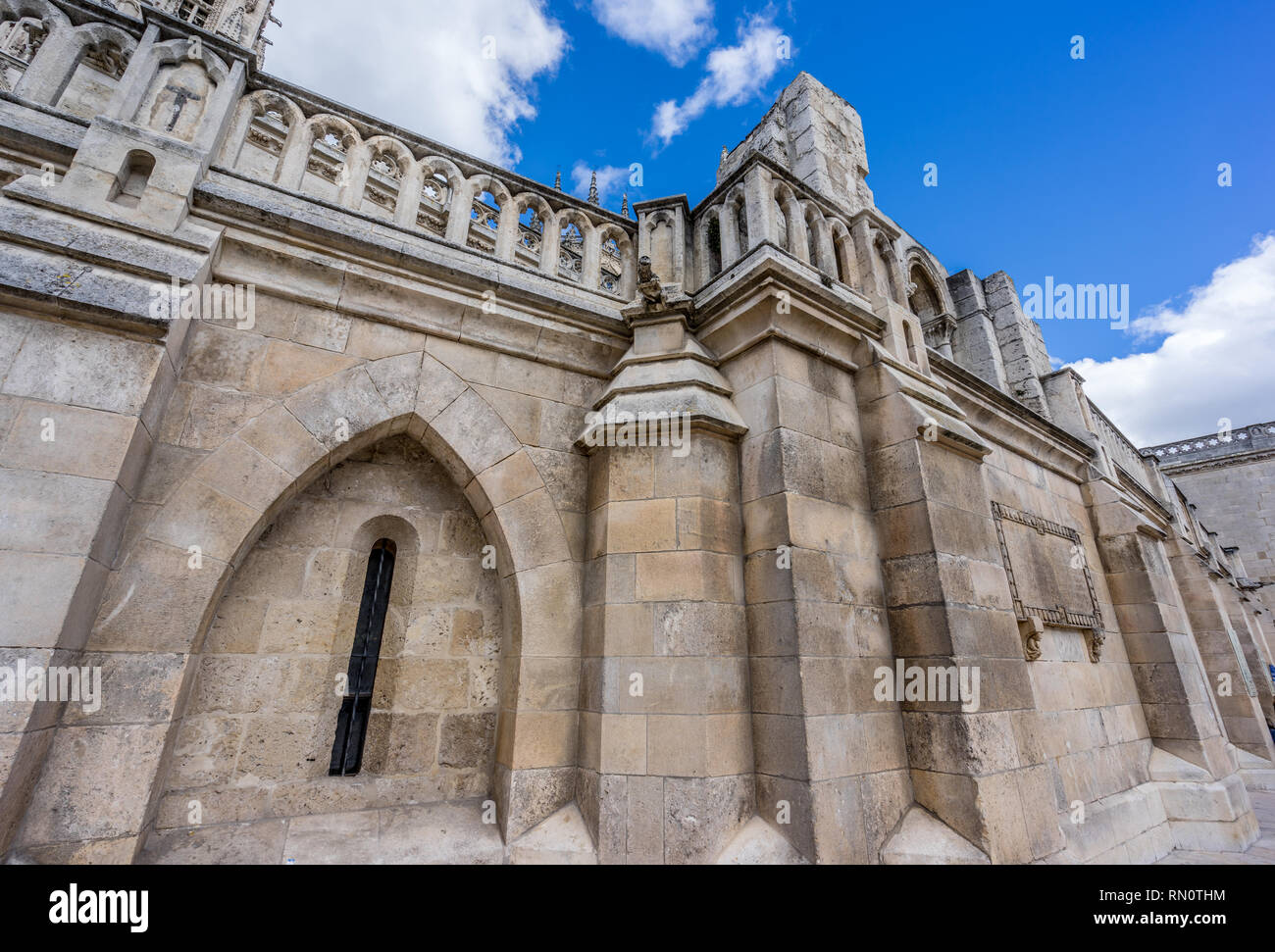 Esterno la parete laterale della splendida cattedrale gotica di Santa Maria di Burgos (Santa Maria de Burgos). Dichiarata Patrimonio Mondiale dell'UNESCO. Castiglia e Leo Foto Stock