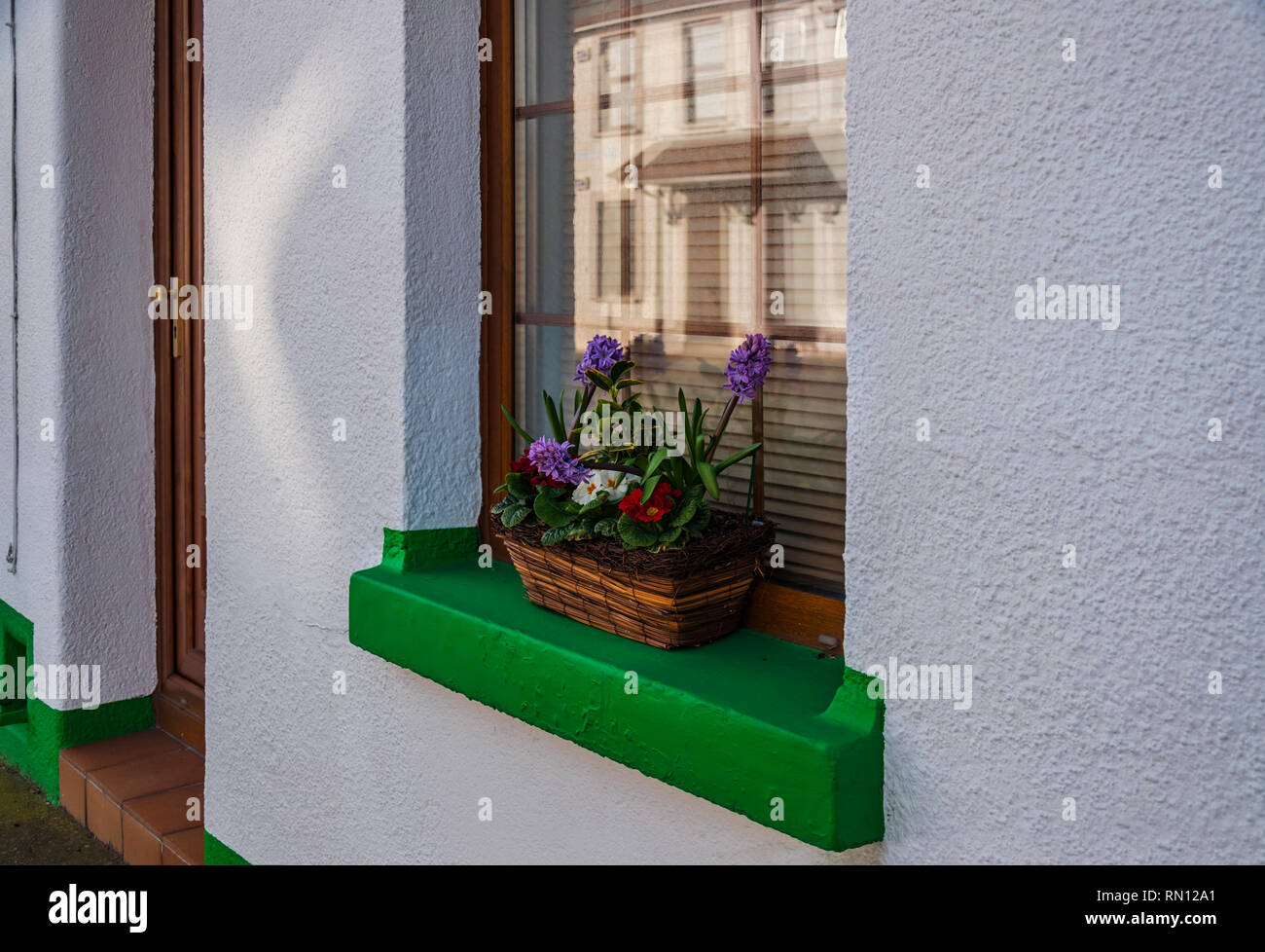 Minigarden sul davanzale. Foto Stock
