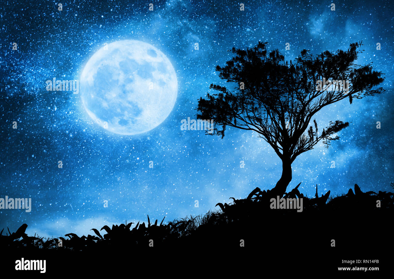 Notte magica paesaggio con cielo stellato e luna Foto Stock