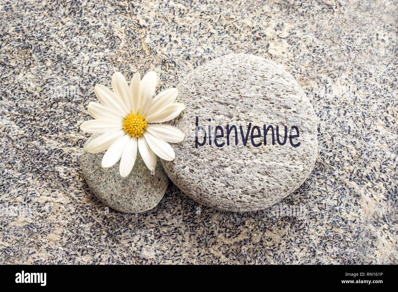 Bienvenue (significato benvenuti in francese) scritto su un sfondo di pietra con una margherita Foto Stock
