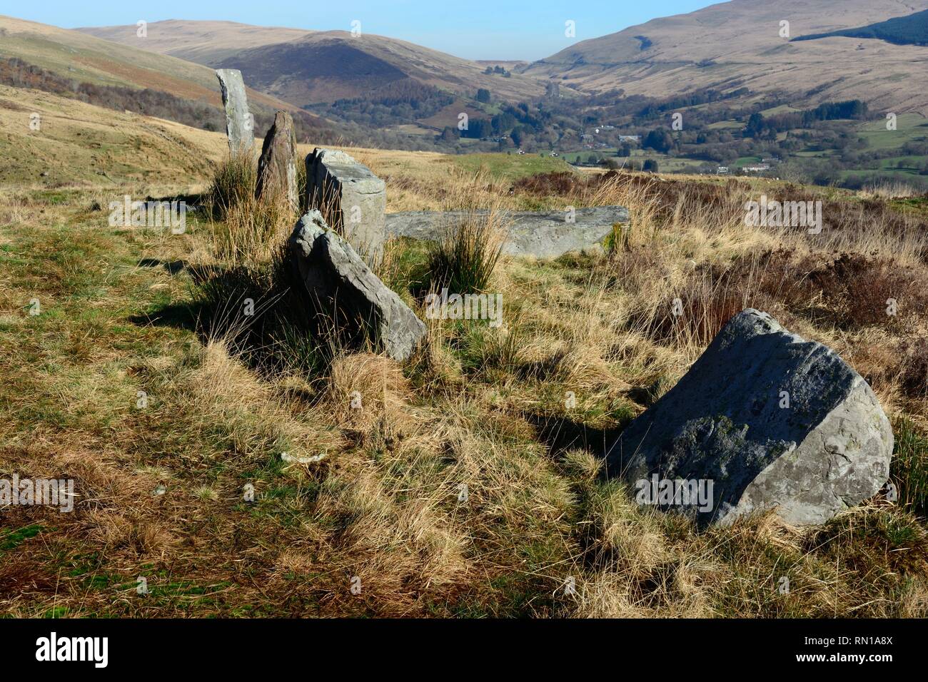 Dice Maen Pietra di Allineamento di riga Cribarth Mountain Craig Y Nos Country Park Parco Nazionale di Brecon Beacons Galles Cymru REGNO UNITO Foto Stock