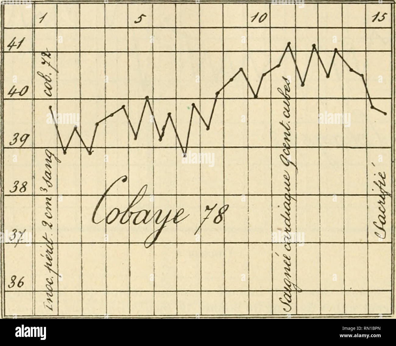 . Annales de l'Institut Pasteur. La scienza; allergia e immunologia; medicina; microbiologia. ?2oS ANNALES DE L'Institut Pasteur incubazione de '6 jiiirx, fyphut grave accidentellement terminé par la moit^ .lU 6= jour de la fièvre, à la suite dune ponction cardiaque. Le ?ang de ce lo strinare s'est montré virulente pour le cobaye 91, di non versare li- cobaye 90 (Voir Plus bas, G*" passaggio). Ligne problema m: cobaye 7o. Ce cobaye, inoculé avec le sang du cofano 70, en même teni|)s que le cobaye 12, n'avait, au contraire de ce dernier, présenté aucune élévation lliermique. Son Sang s'est montré cependant légèr Foto Stock