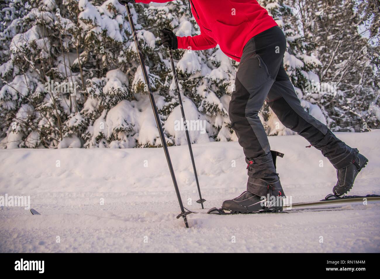 Cross Country sciatore Closeup Photo. Stagione invernale a tema sportivo. Foto Stock