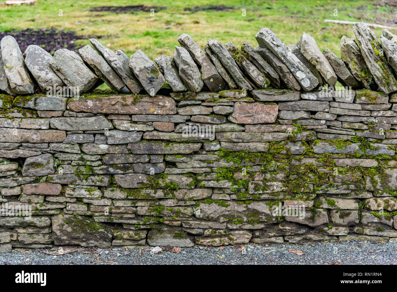 A SECCO tradizionale muro di pietra nella campagna gallese accanto a un campo in erba lato lungo un sentiero di ghiaia. Foto Stock