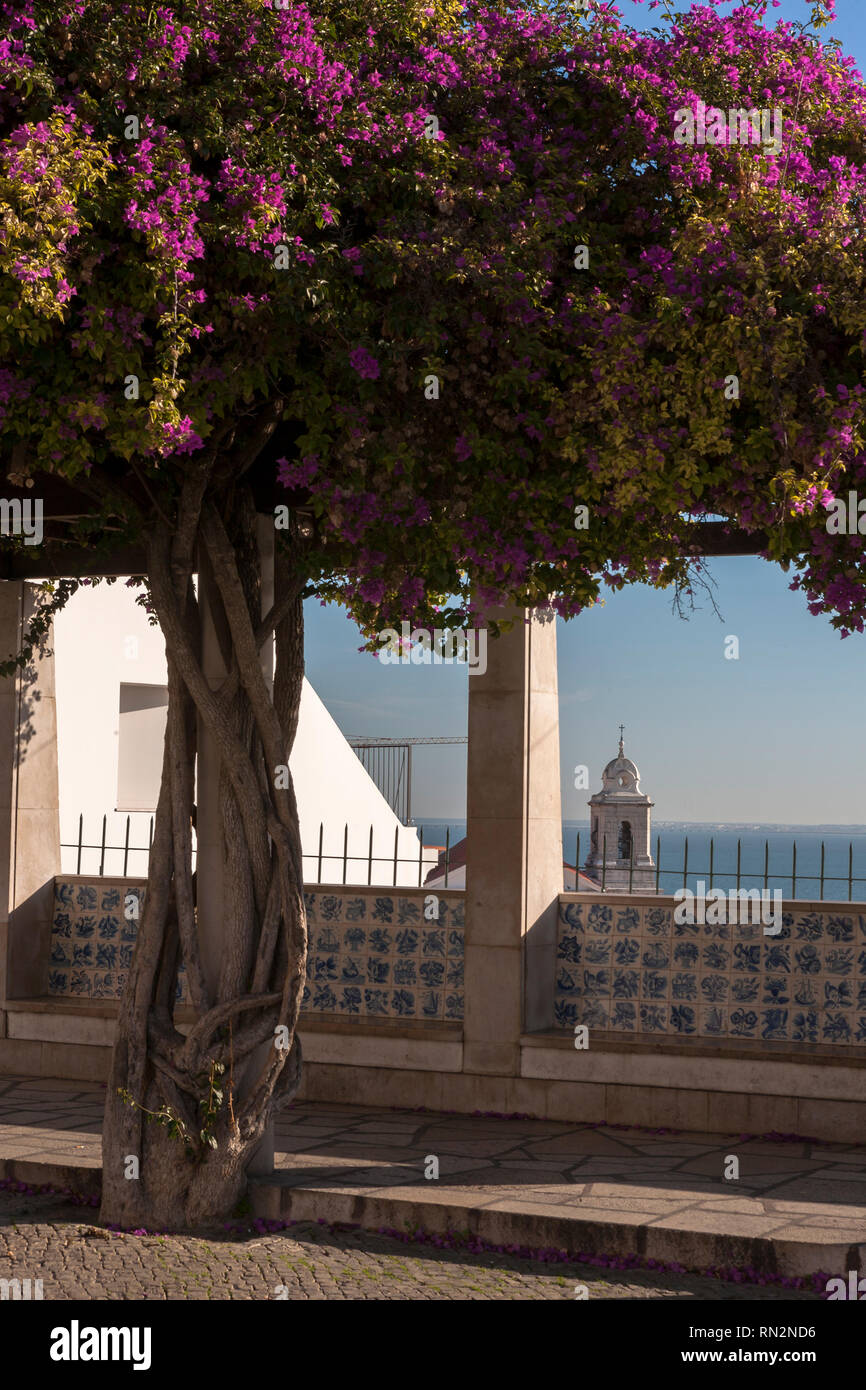 Guardando verso il Rio Tejo dal Miradouro de Santa Luzia, Alfama, Lisbona, Portogallo Foto Stock