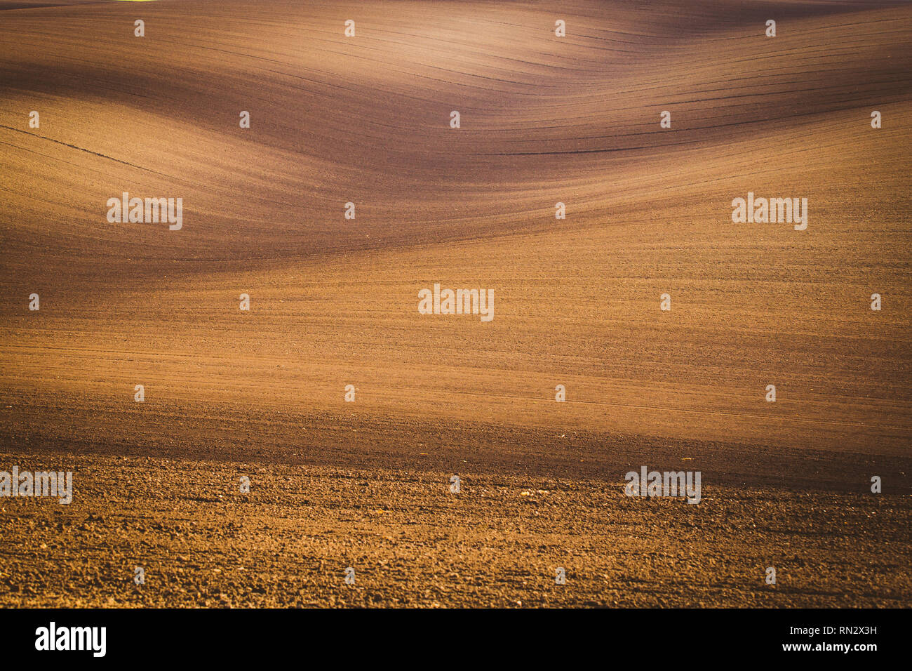 Moravian paesaggio toscano. Raccolte di campi e prati in Sud Morava, Repubblica Ceca. Paese ondulato paesaggio al tramonto di autunno Foto Stock