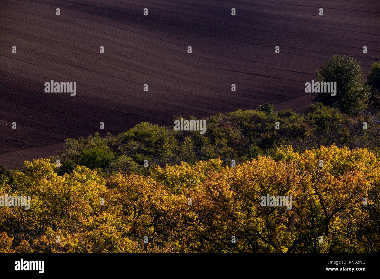 Moravian paesaggio toscano. Raccolte di campi e prati in Sud Morava, Repubblica Ceca. Paese ondulato paesaggio al tramonto di autunno Foto Stock