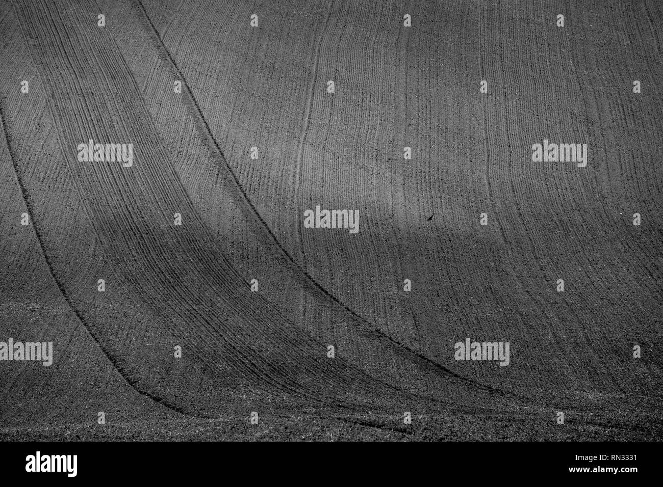 Moravian paesaggio toscano. Raccolte di campi e prati in Sud Morava, Repubblica Ceca. Paese ondulato paesaggio al tramonto di autunno Foto Stock
