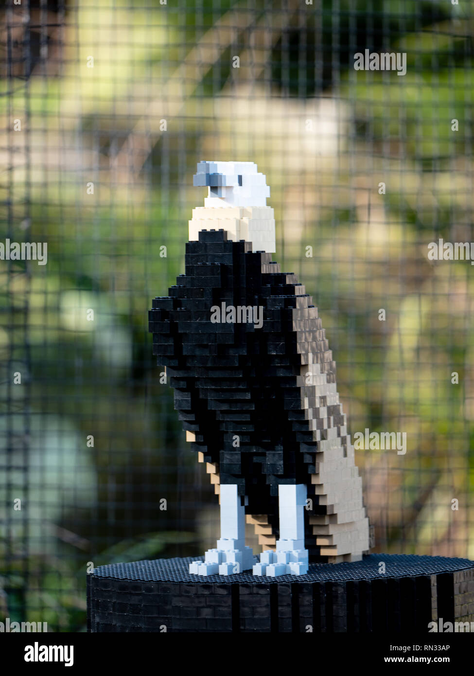 Eurasian modello avvoltoio, parte dei mattoni Lego Trail a Chester Zoo Foto Stock