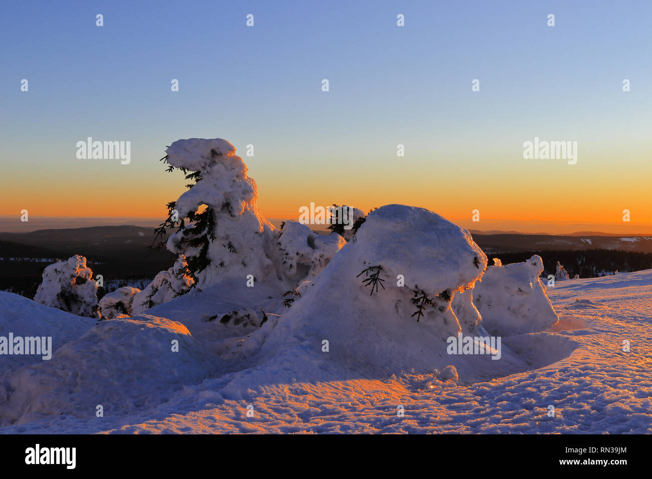 Paesaggio invernale sul monte Brocken, Parco Nazionale di Harz, Sassonia-Anhalt, Germania. Coperto di neve e conifere nella parte anteriore di un tramonto spettacolare sky. Foto Stock