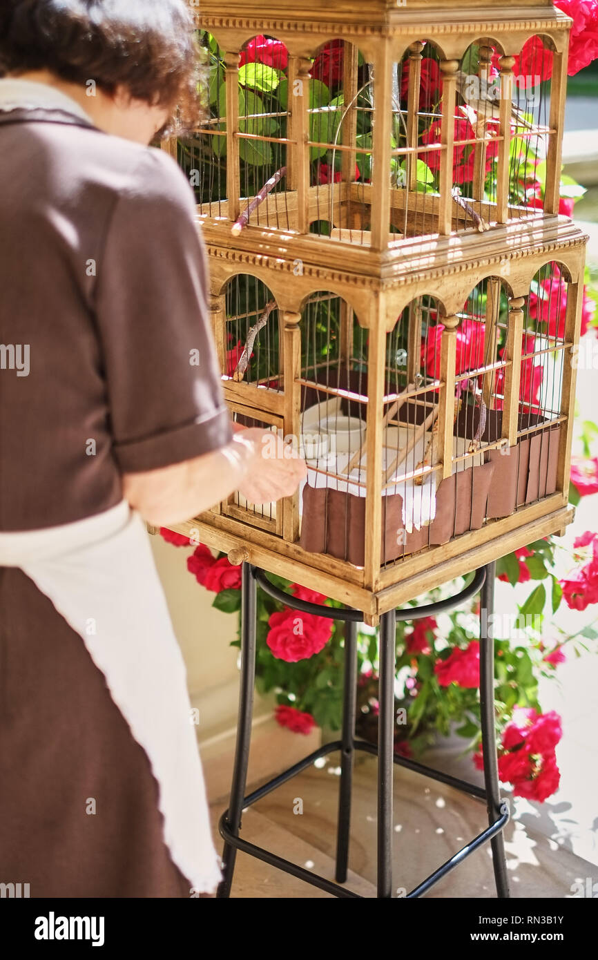 Un grande, legno Bird Cage con un graybird su un naturale, sfondo sfocato. L'uccello in cattività. La gabbia per uccelli. Foto Stock