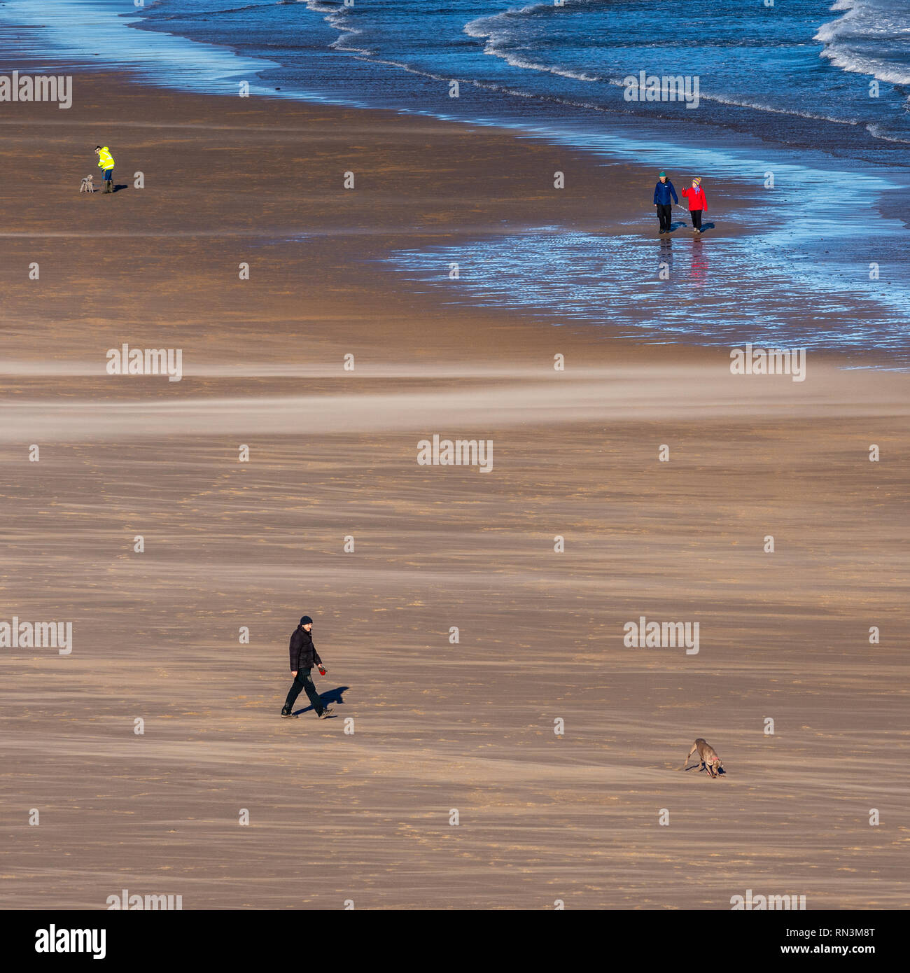 Tynemouth, England, Regno Unito - 4 Febbraio 2019: la gente a piedi i loro cani sulla spiaggia espansiva di Longsands Tynemouth su una soleggiata giornata invernale. Foto Stock