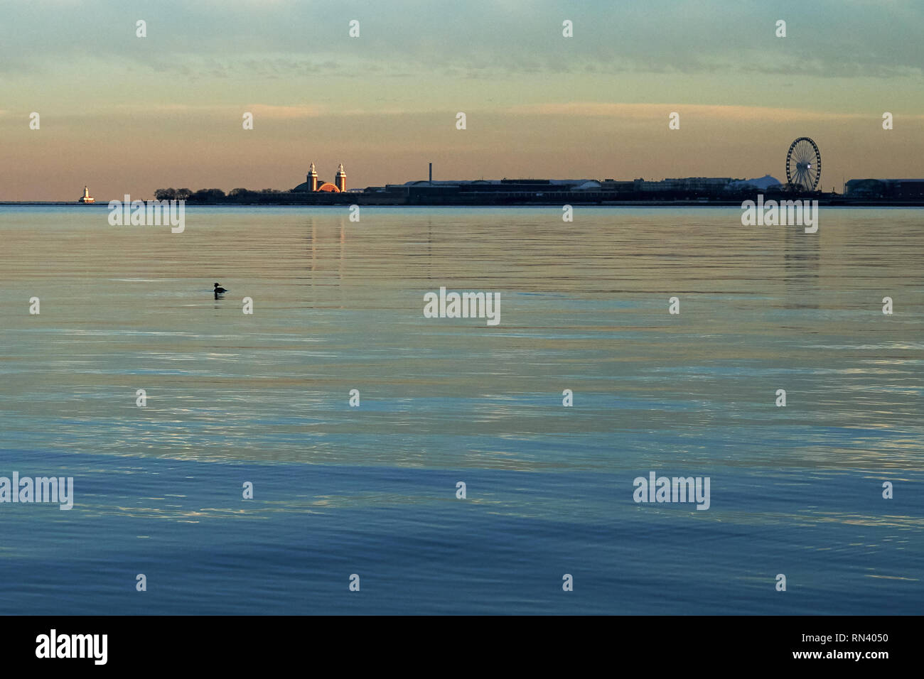 Anatre sul Lago Michigan Foto Stock