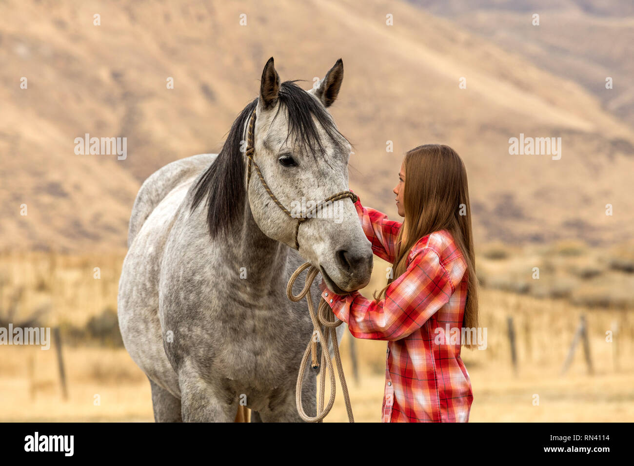 Ragazza petting cavallo Foto Stock