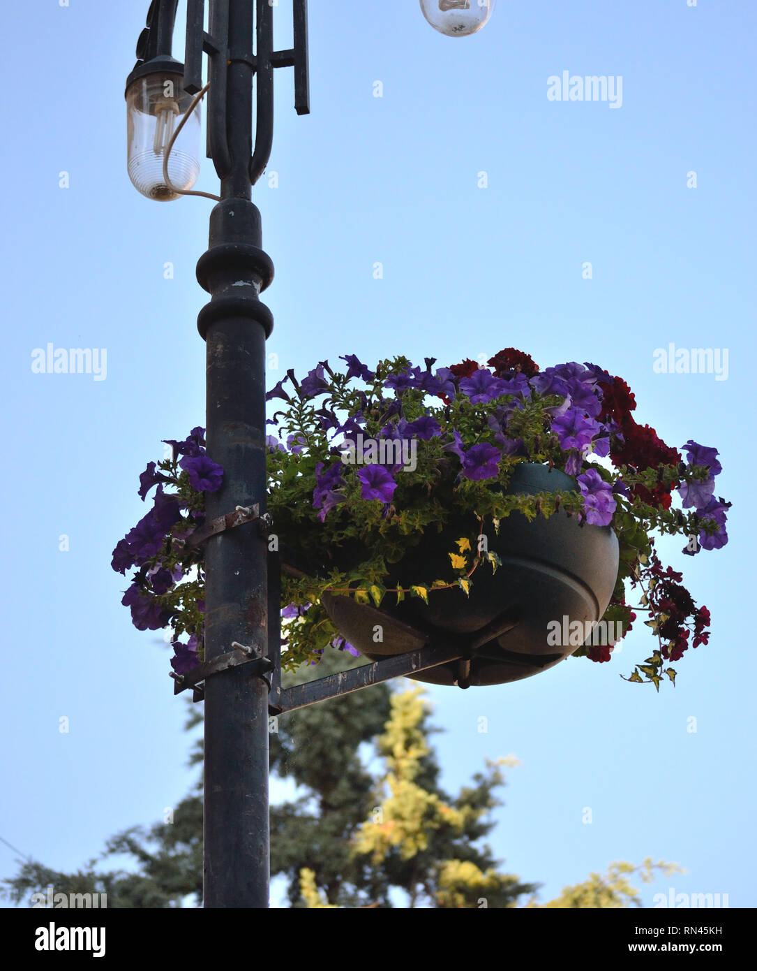 Un lampione decorate con vasi di fiori Foto Stock