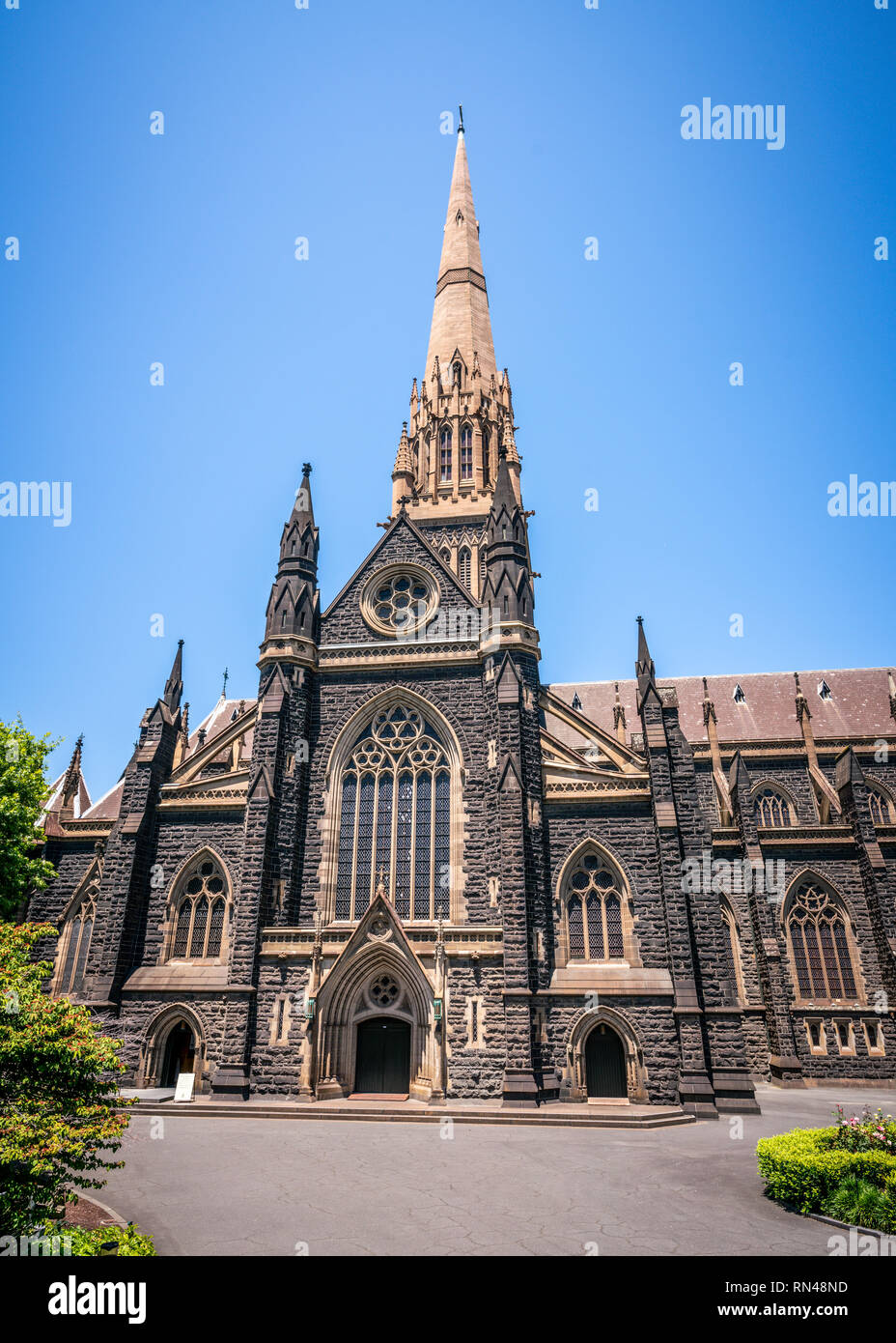 Vista laterale della Cattedrale di San Patrizio e la guglia di una Cattedrale cattolica romana chiesa in Melbourne Victoria Australia Foto Stock