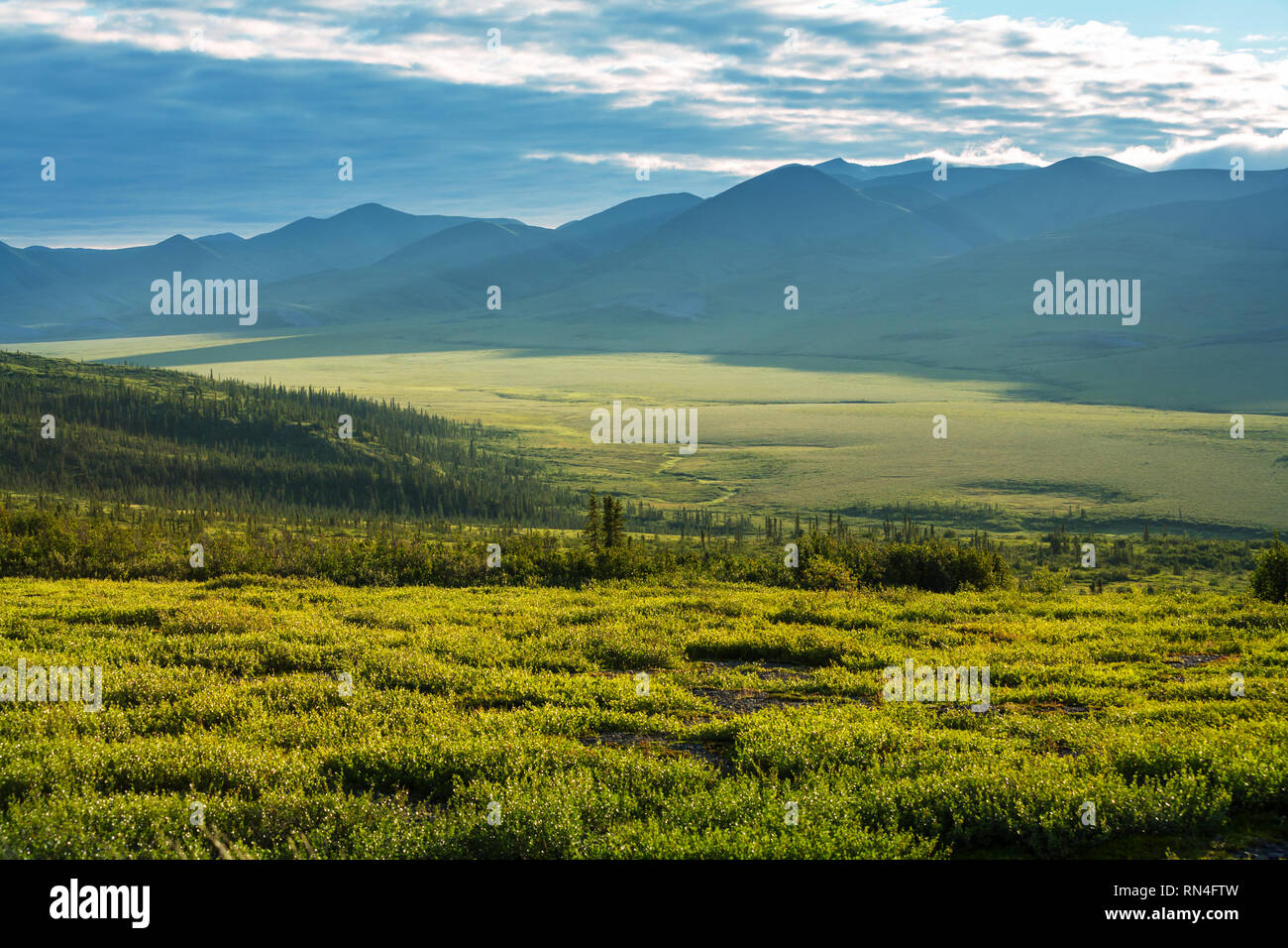 La tundra paesaggi al di sopra di circolo polare artico Foto Stock