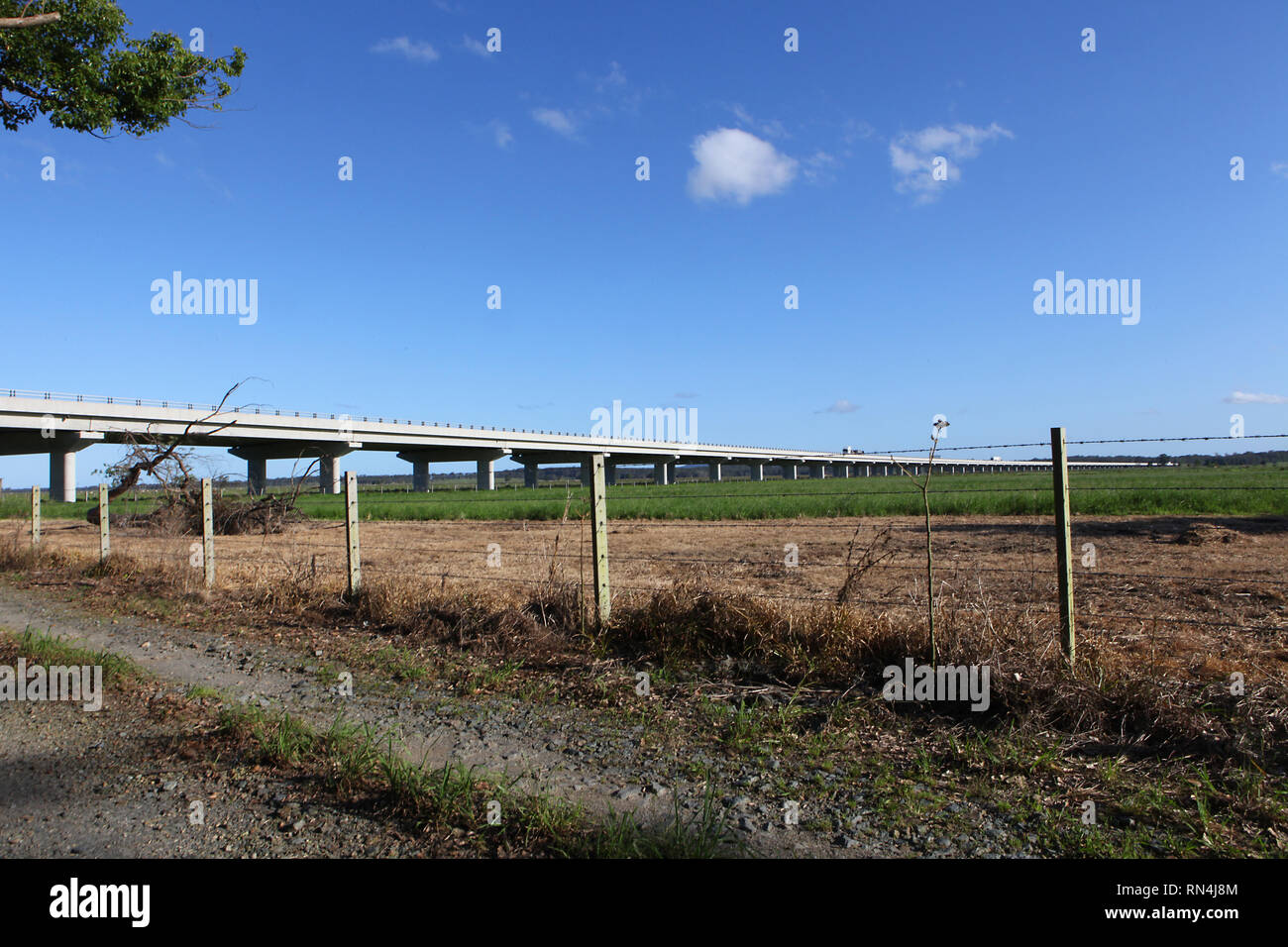 Visitare l'Australia. Viste e scenic dello stato del Nuovo Galles del Sud, nel paese e il continente australiano. L'autostrada #1 Foto Stock