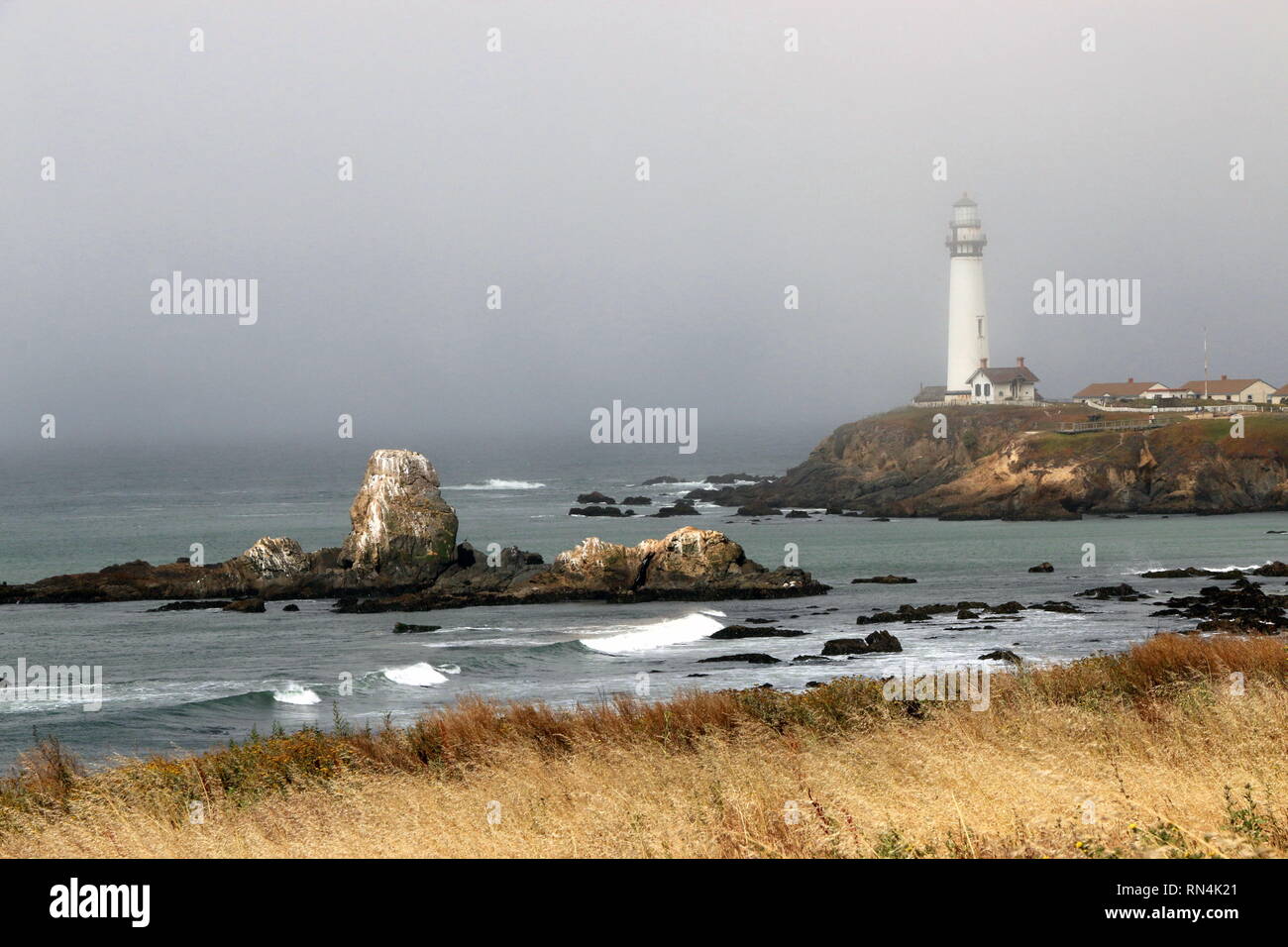 Pigeon Point Lighthouse, CA. Foto Stock