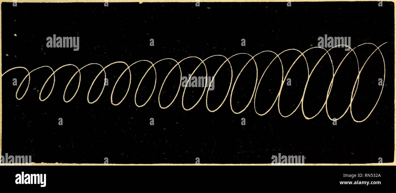 . Meccanismo di animale: un trattato sul terrestre e aërial locomozione. Locomozione animale; il volo. I MOVIMENTI DELLE ALI DI UCCELLI. 243 D'Album Fotografico aveva già determinato dai suoi esperimenti che questa traiettoria esistenti; ed egli ha anche capito, nel suo lavoro, la curva descritta ; ma, a suo parere, l'asse maggiore di , l'ellisse sarebbe rivolta verso il basso e all'indietro, che è del tutto contrario al risultato dei nostri esperimenti.. Fig. 101.-ellisse formata da una Wheatstone asta è sintonizzato in unisono e di tracciare su un cilindro rotante. Si nota anche la disparità di ampiezza dei tratti dell'ala fr Foto Stock