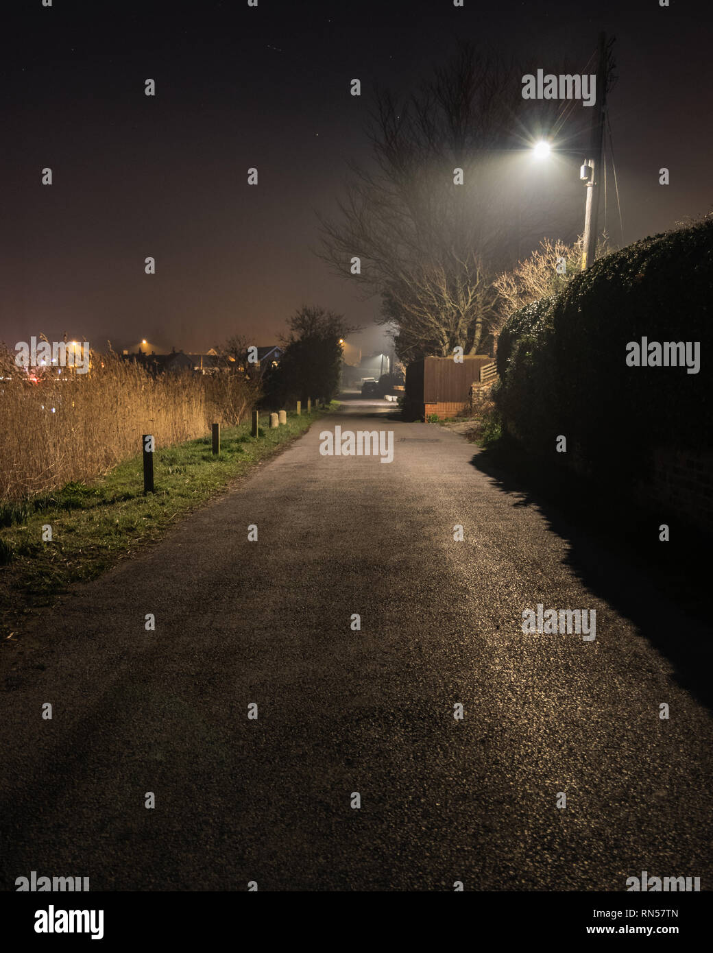 Foggy country road illuminato dalla lampada di strada durante la nebbia Foto Stock