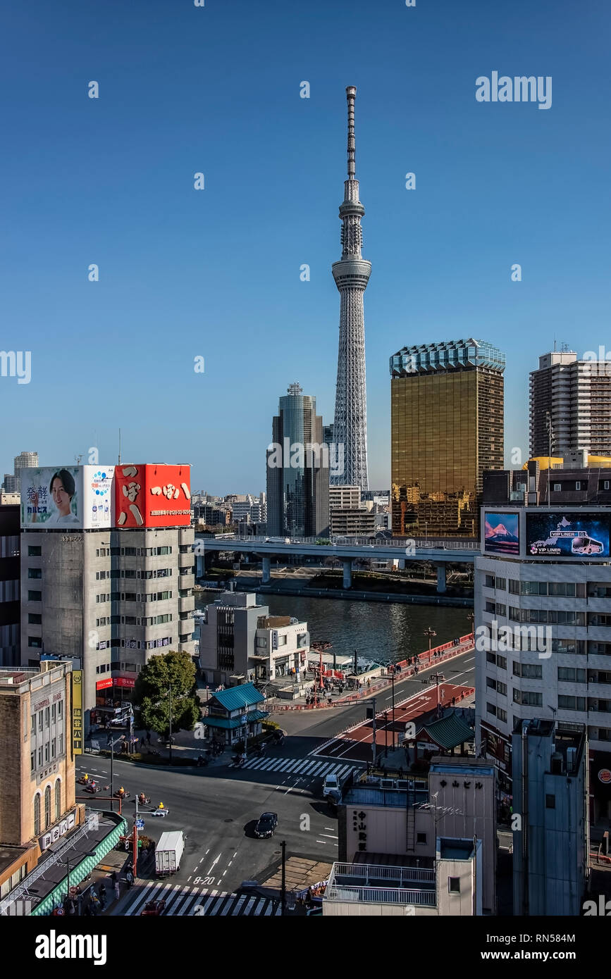 Il Tokyo City con la torre Skytree in ore diurne Foto Stock