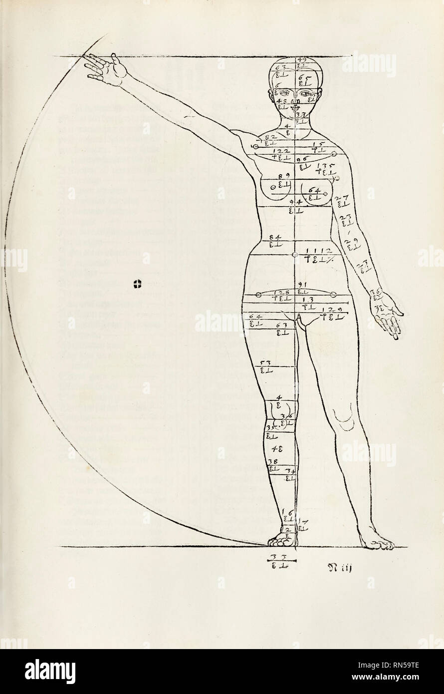 Illustrazione su legno «Female Human proportion» dell’artista tedesco Albrecht Dürer (1471-1528) che mostra studi anatomici sulla proporzione del corpo umano da «Hierinn sind begriffen vier Bücher von menschlicher proportion» [quattro libri sulla proporzione umana]. Fotografia di una prima edizione originale del 1528. Crediti: Collezione privata / AF fotografie Foto Stock