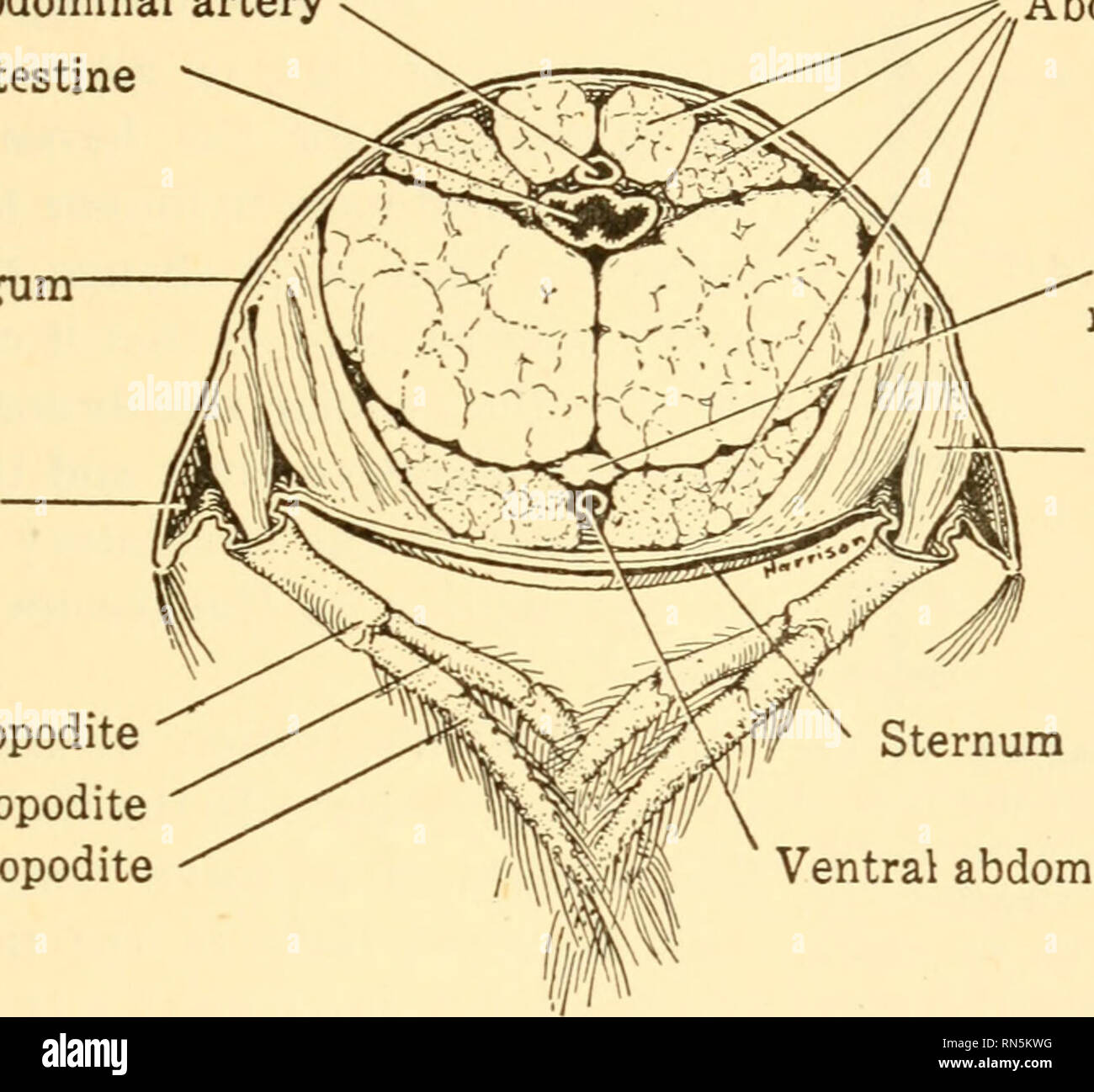 discesa con modifica