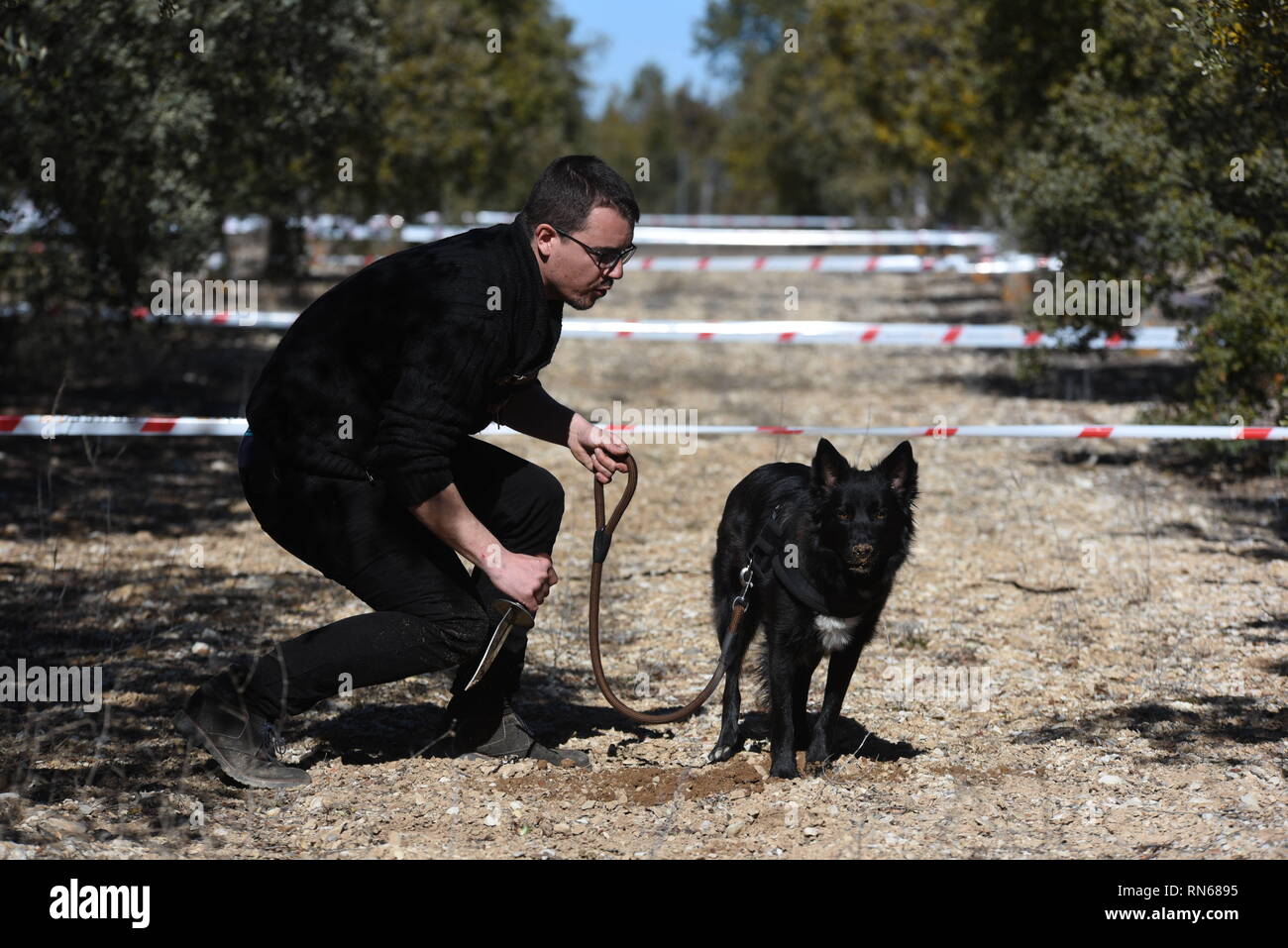 A Abejar, Soria, Spagna. Xvii Feb, 2019. Un partecipante è visto alla ricerca del tartufo con il suo cane durante il XVII Nazionale del Tartufo-sniffing cani in concorrenza a Abejar, nel nord della Spagna.Circa 17 partecipanti di diverse province della Spagna prendere parte nel XVII Nazionale del Tartufo-sniffing del cane in concorrenza a Abejar, nel nord della Spagna. Tartufi, noto come l'oro nero, può recuperare fino a $800 un chilogrammo. Credito: Jorge Sanz SOPA/images/ZUMA filo/Alamy Live News Foto Stock