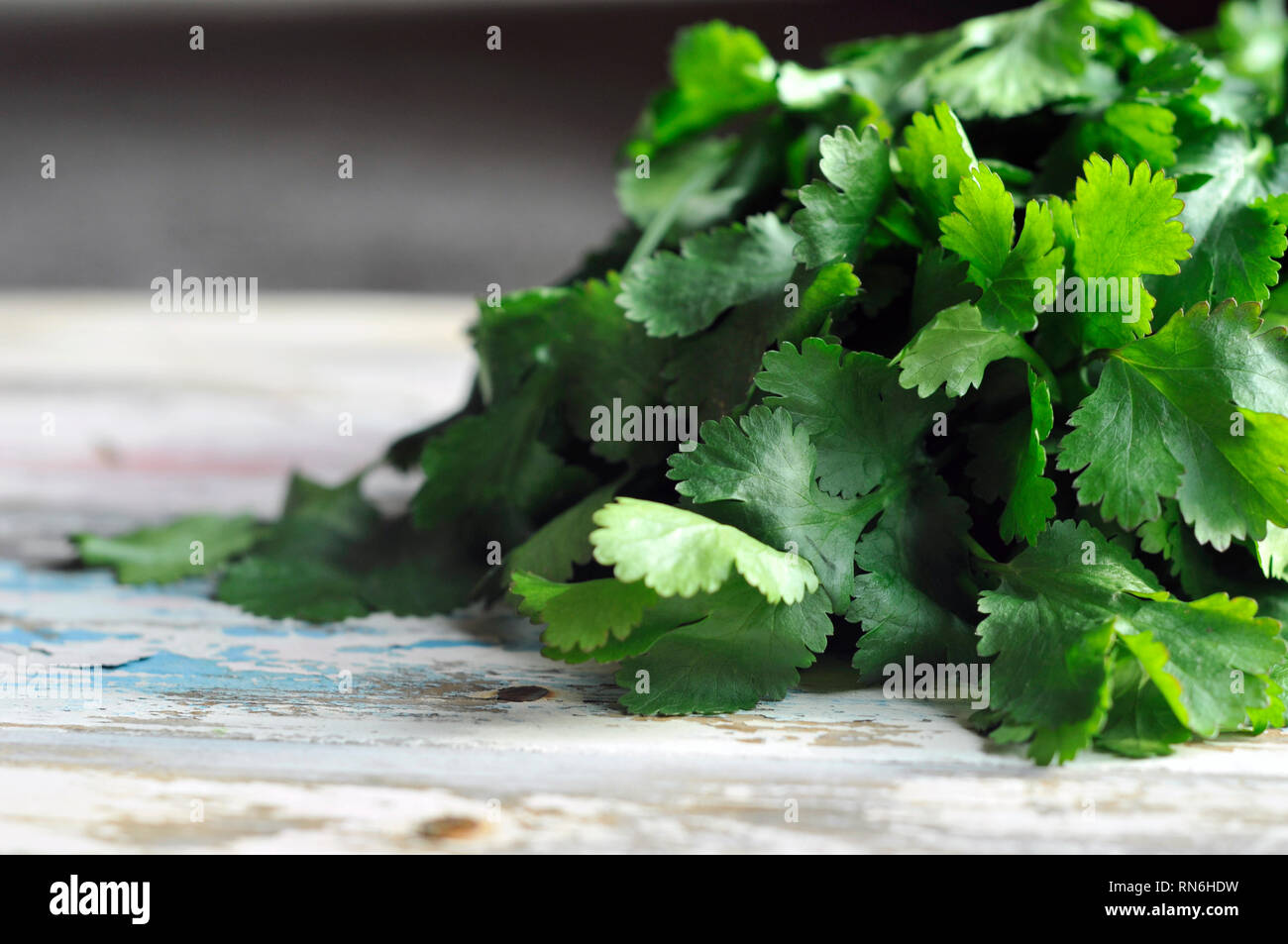 Coriandolo Foto Stock