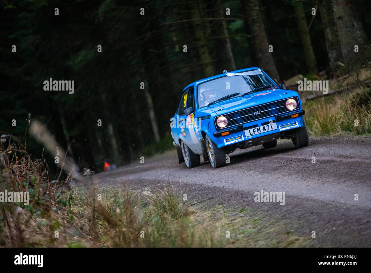 Rally Car competere nel 2019 Cambrian Rally, Alwen foresta, il Galles del Nord Foto Stock