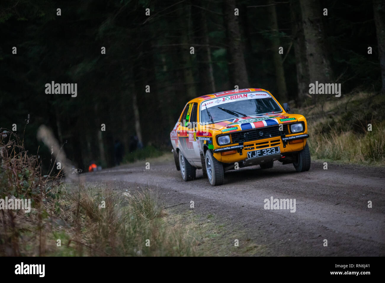 Rally Car competere nel 2019 Cambrian Rally, Alwen foresta, il Galles del Nord Foto Stock