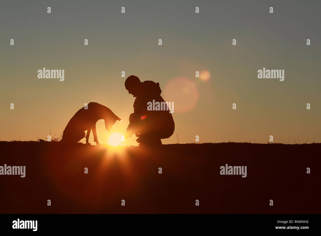 L'uomo detiene il sole nelle sue mani, il cane sta guardando il sole, sagome contro il tramonto Foto Stock