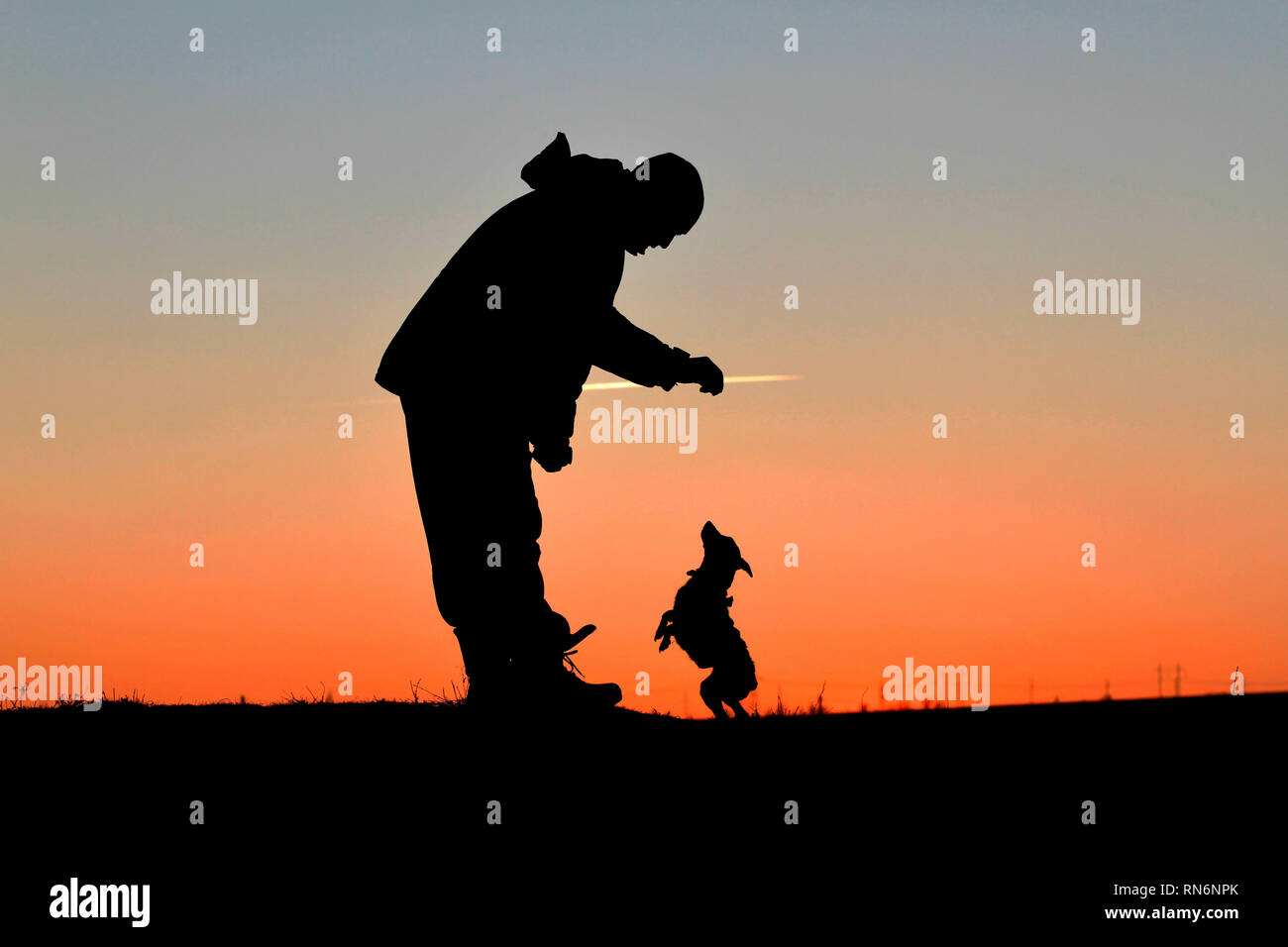 Sagome di un uomo e di un piccolo cane su un tramonto sullo sfondo. Foto Stock