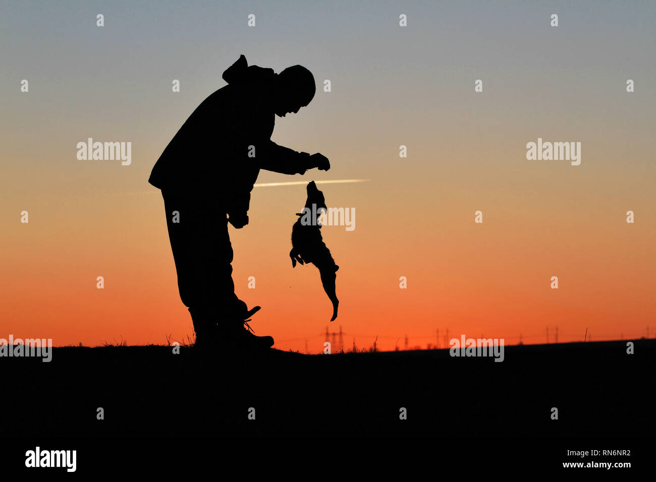 Sagome di un uomo e di un piccolo cane su un tramonto sullo sfondo. Foto Stock