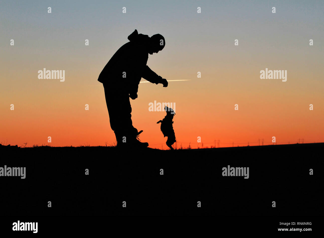 Sagome di un uomo e di un piccolo cane su un tramonto sullo sfondo. Foto Stock