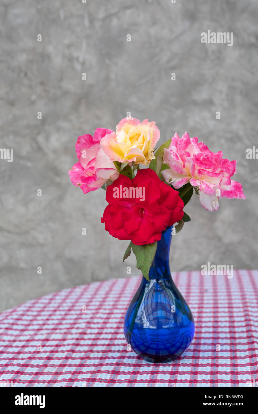 Bel rosso e rosa rose in vaso blu su bianco e rosso a scacchi sfondo tabella,ancora vita Foto Stock