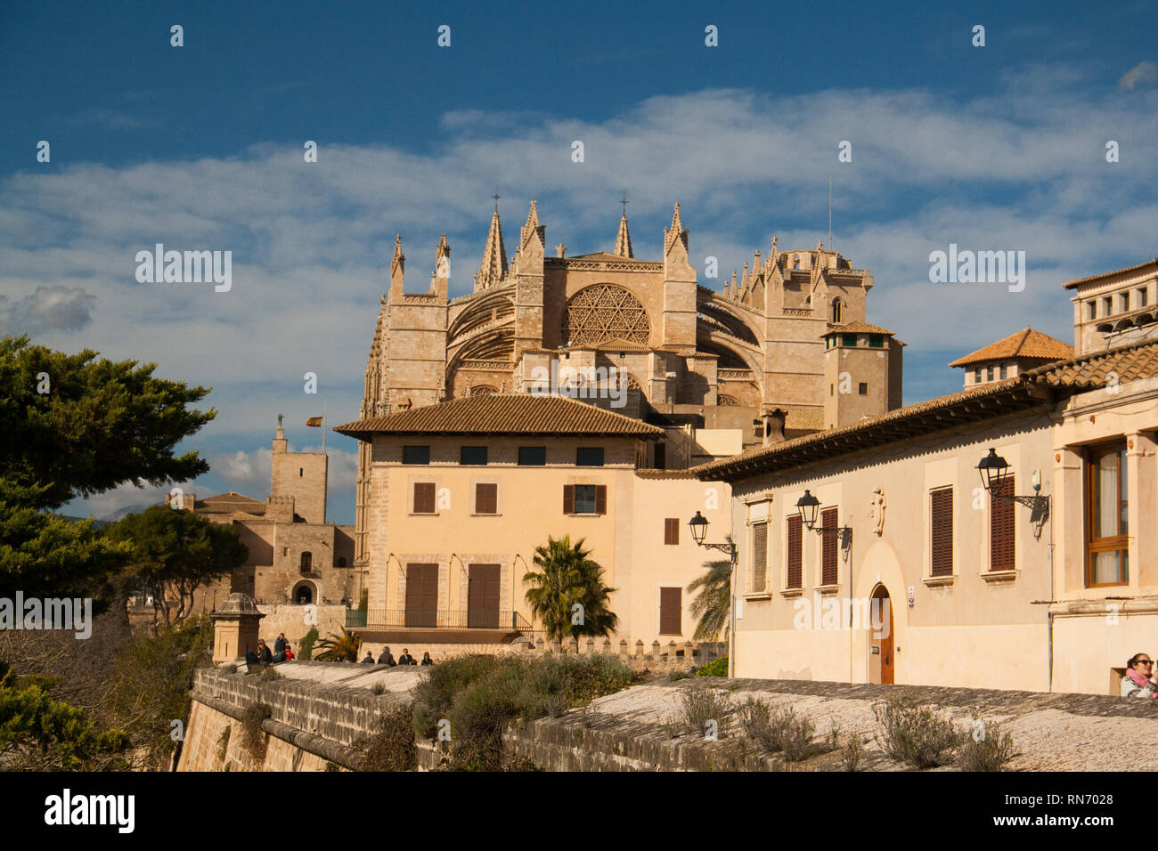 Cattedrale gotica La Seu in Palma de Mallorca, Spagna. Giornata di sole e cielo blu Foto Stock