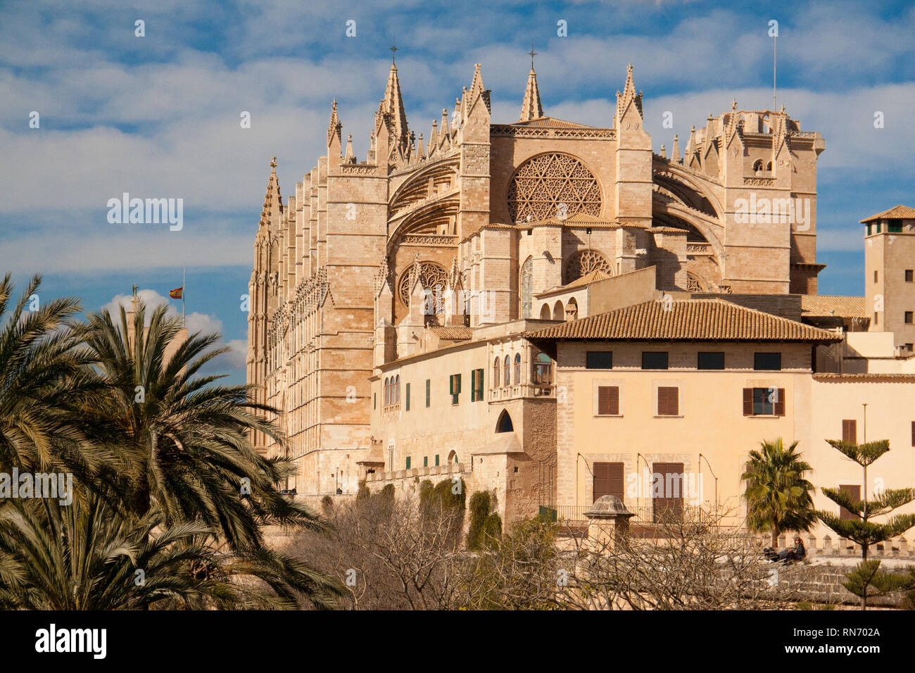 Cattedrale gotica La Seu in Palma de Mallorca, Spagna. Giornata di sole e cielo blu Foto Stock