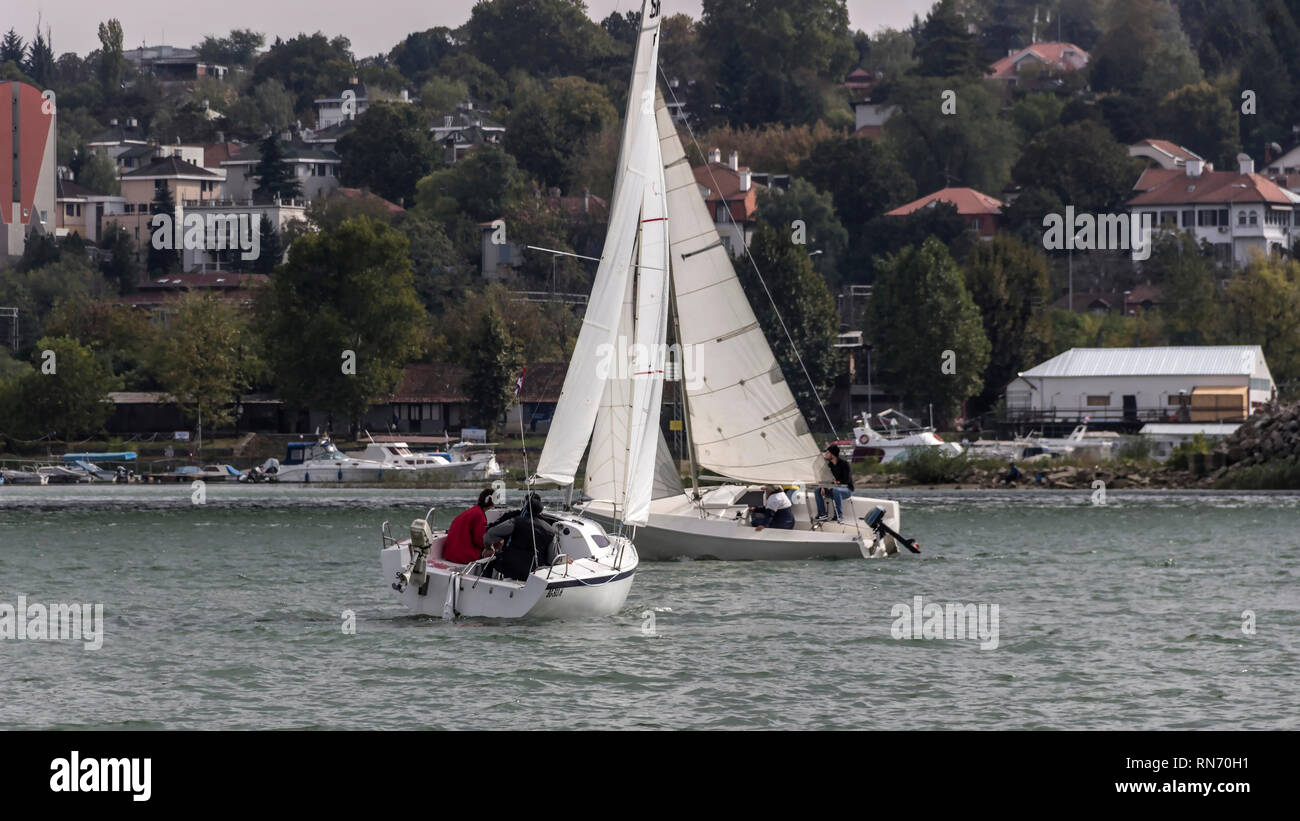 Belgrado, Serbia, Ottobre 2016 - Due barche a vela in gara durante il Micro classe regata sul fiume Sava Foto Stock