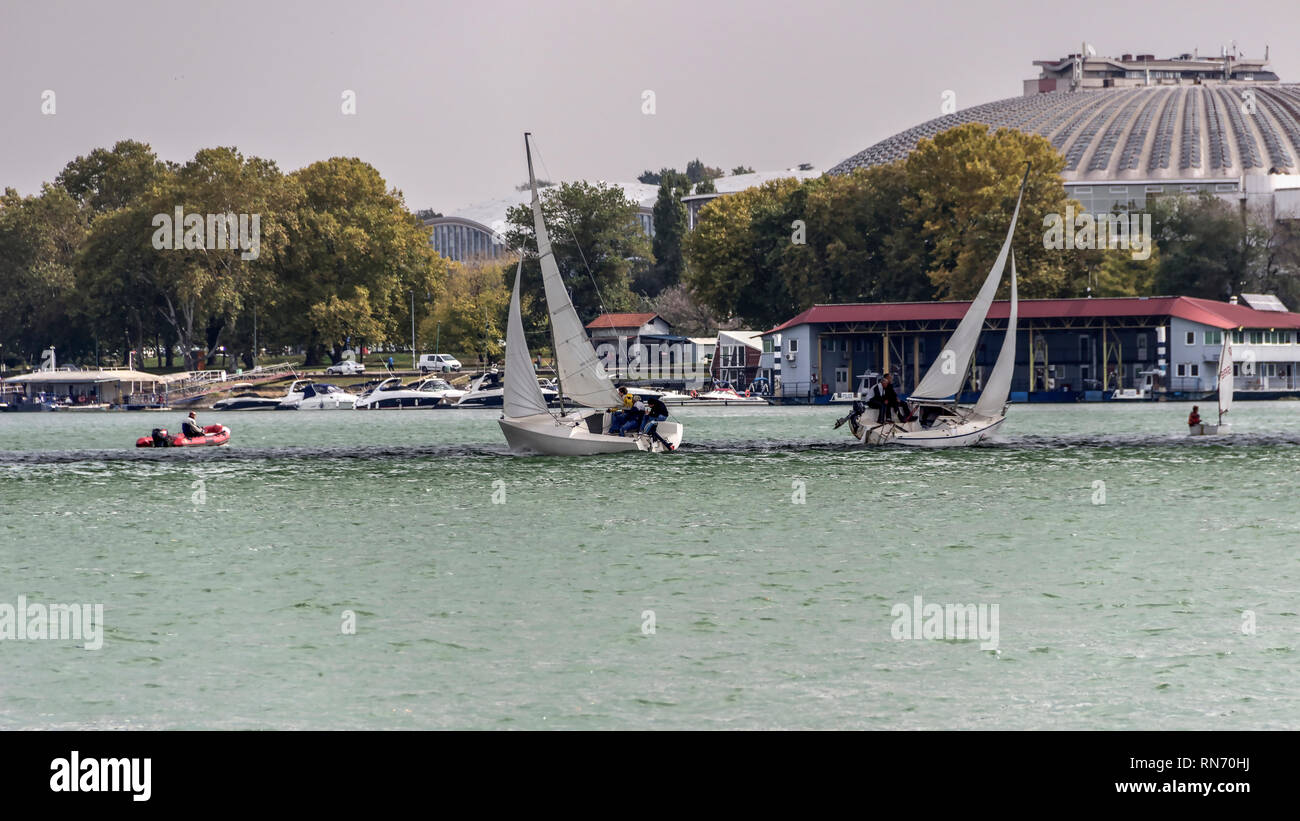 Belgrado, Serbia, Ottobre 2016 - Due barche a vela in gara durante il Micro classe regata sul fiume Sava Foto Stock