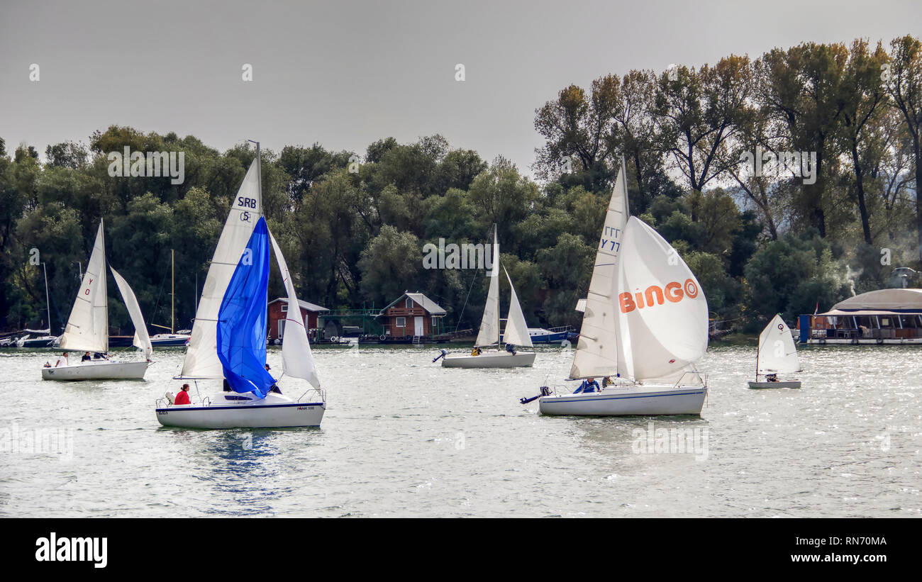 Belgrado, Serbia, Ottobre 2016 - Tre-persona scuderie concorrenti nella classe Micro regata sul fiume Sava Foto Stock