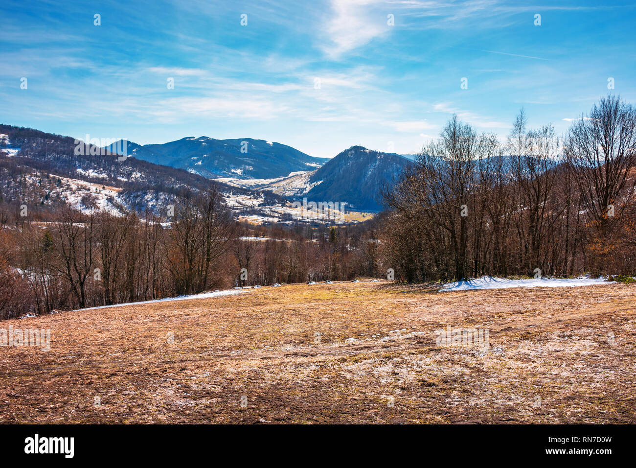 Inizio primavera in campagna montuosa. alberi sfrondato sul prato con erba spiovente e le macchie di neve. La primavera è venuta. tempo soleggiato Foto Stock