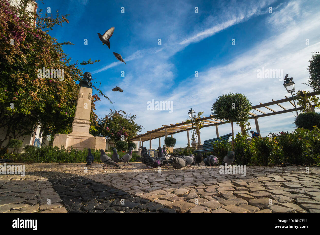 Lisbona, Portogallo - 22 dicembre 2018: vista di una piccola piazza con gli uccelli in volo in splendida Lisbona Foto Stock