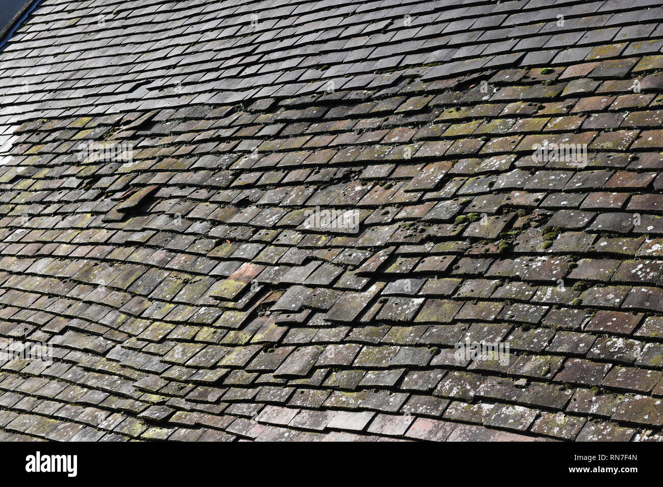 Argilla vecchio tetto di tegole sul cottage in necessità di riparazione Foto Stock