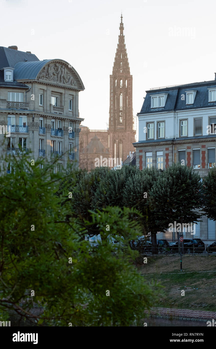 Strasburgo, Alsazia, Francia, edifici residenziali, cattedrale la guglia, nel tardo pomeriggio di luce, Foto Stock