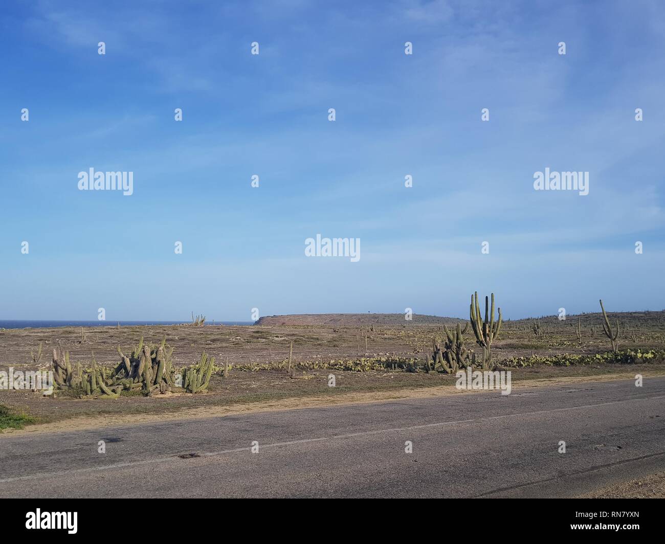 Deserto vuoto strada nell'isola di Aruba Foto Stock