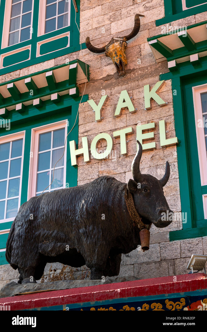 Il Nepal, Namche Bazaar, turismo, Yak Hotel il cranio e il modello animale al di fuori del trekking lodge Foto Stock