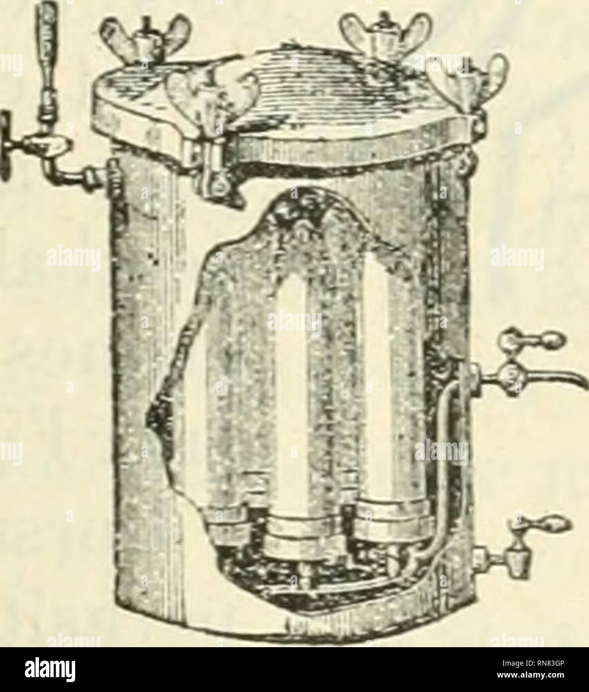 . Anatomie et physiologie végétales à l'usage des étudiants en sciences naturelles des Universités, des élèves à l'Institut agronomique, des écoles d'agricoltura, ecc. Anatomia vegetale; la fisiologia vegetale. . Si prega di notare che queste immagini vengono estratte dalla pagina sottoposta a scansione di immagini che possono essere state migliorate digitalmente per la leggibilità - Colorazione e aspetto di queste illustrazioni potrebbero non perfettamente assomigliano al lavoro originale. Belzung, Ernest Ferdinand, 1859-. Parigi F. Alcan Foto Stock